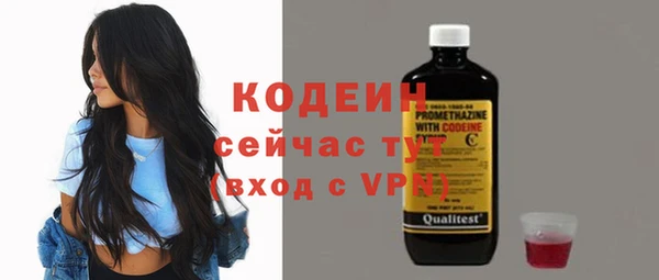 гашик Гусев