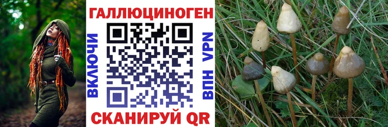 Купить где  Кореновск  Псилоцибиновые грибы Magic Shrooms 